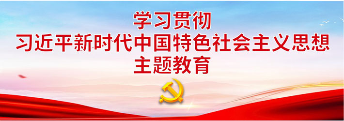 学习贯彻习近平新时期中国特色社会主义思想主题教育